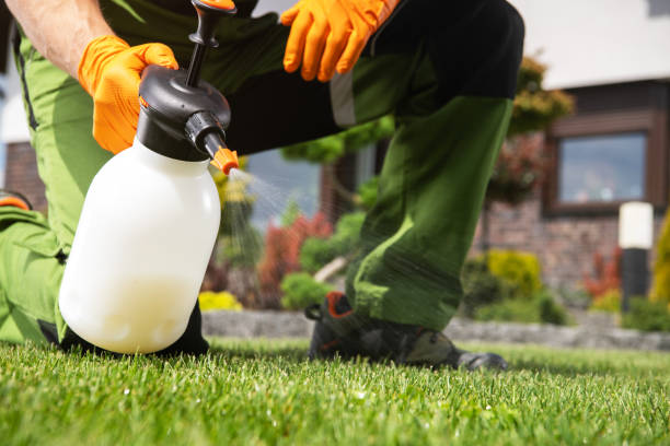 Wasp Removal Services in Russells Point, OH