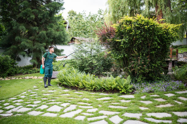 Wasp Removal Services in Russells Point, OH
