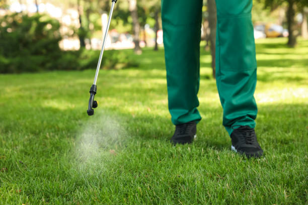 Best Wildlife Control Services  in Russells Point, OH