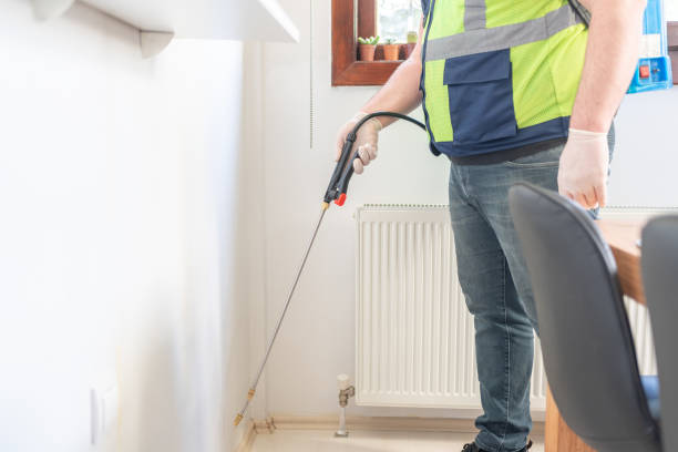 Best Exterminator Services  in Russells Point, OH