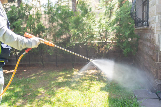 Professional Pest Control in Russells Point, OH
