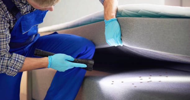 Pest Control Cost in Russells Point, OH