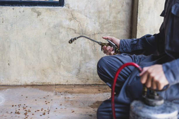 Best Pest Prevention Services  in Russells Point, OH